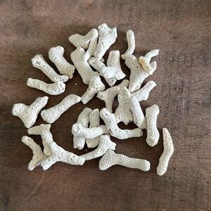 30 pieces of coral found on the Keys in Florida each piece 1”-1 1/4”